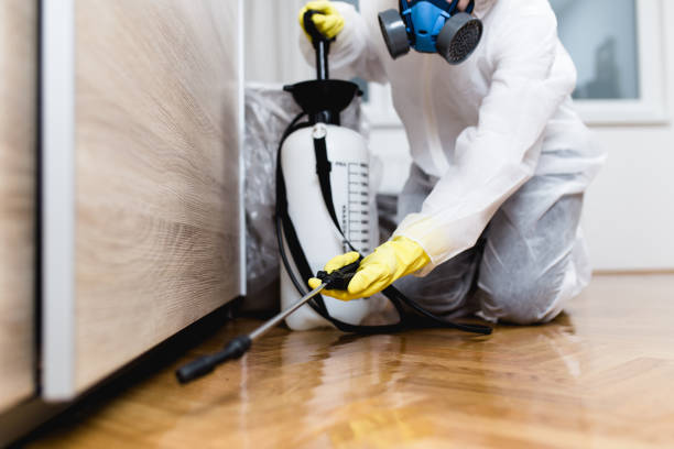 Pest Prevention Services in Glenolden, PA