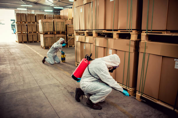 Best Residential Pest Control  in Glenolden, PA