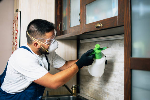 Best Pest Prevention Services  in Glenolden, PA