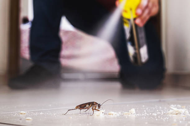 Best Pest Control for Restaurants  in Glenolden, PA